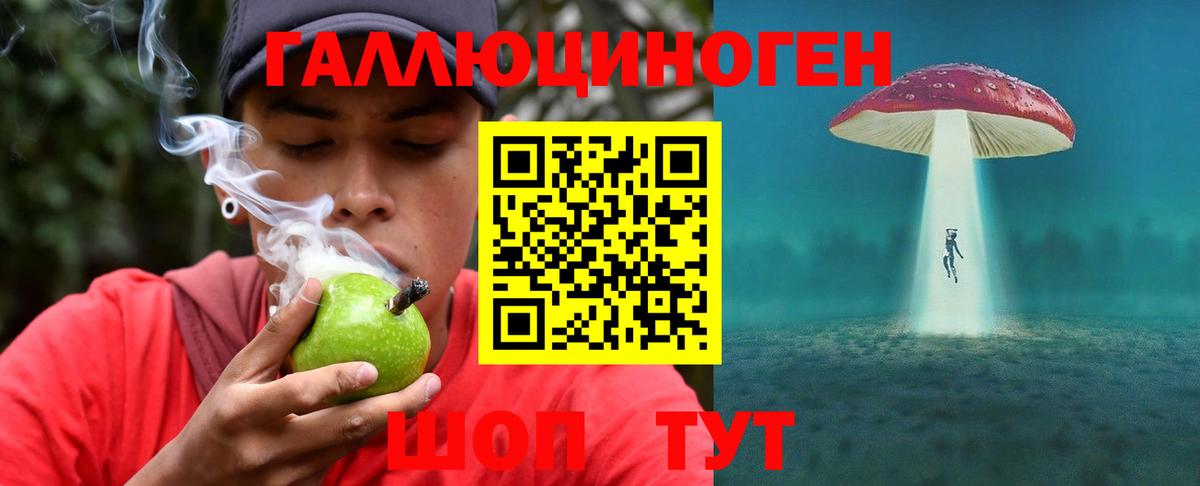 Псилоцибиновые грибы ЛСД  Вход с VPN  Сыктывкар  Псилоцибиновые грибы Psilocybine cubensis 
